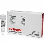 Thermo Fisher Scientific GTP Soln. (10 mM)