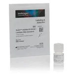 Thermo Fisher Scientific Qubit 1X dsDNA HS Assay Lambda Standard