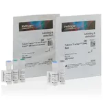 Thermo Fisher Scientific Tubulin Tracker Variety Pack