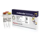 Thermo Fisher Scientific NotI, HC (50 U/μL)