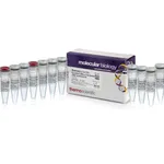 Thermo Fisher Scientific RevertAid H Minus First Strand cDNA Synthesis Kit, 20 reactions