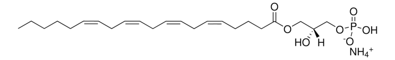 Merck 20:4 Lyso PA