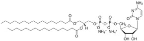 Merck 16:0 CDP DG