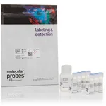 Thermo Fisher Scientific MitoProbe JC-1 Assay Kit