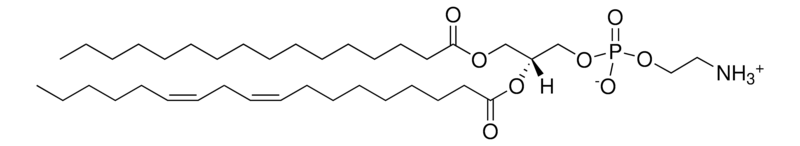 Merck Soy PE