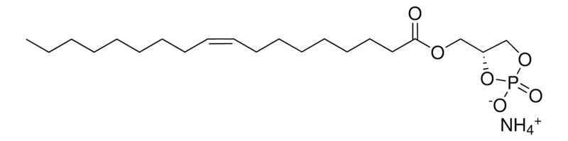 Merck 18:1 Cyclic LPA