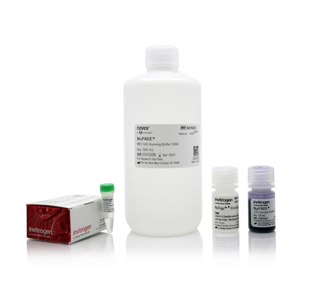 Thermo Fisher Scientific NuPAGE MES SDS Buffer Kit (for Bis-Tris Gels)