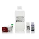 Thermo Fisher Scientific NuPAGE MES SDS Buffer Kit (for Bis-Tris Gels)