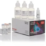 Thermo Fisher Scientific Alexa Fluor 555 Tyramide SuperBoost Kit, streptavidin