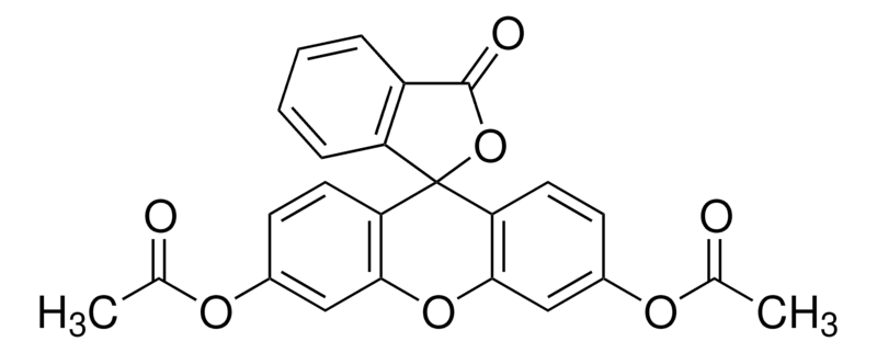 Merck Diacetylfluorescein