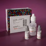 Thermo Fisher Scientific Ultra-Sensitive ABC Peroxidase Standard Staining Kit