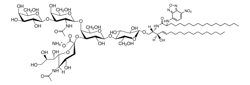 Merck C18:0(2-NBD) GM1