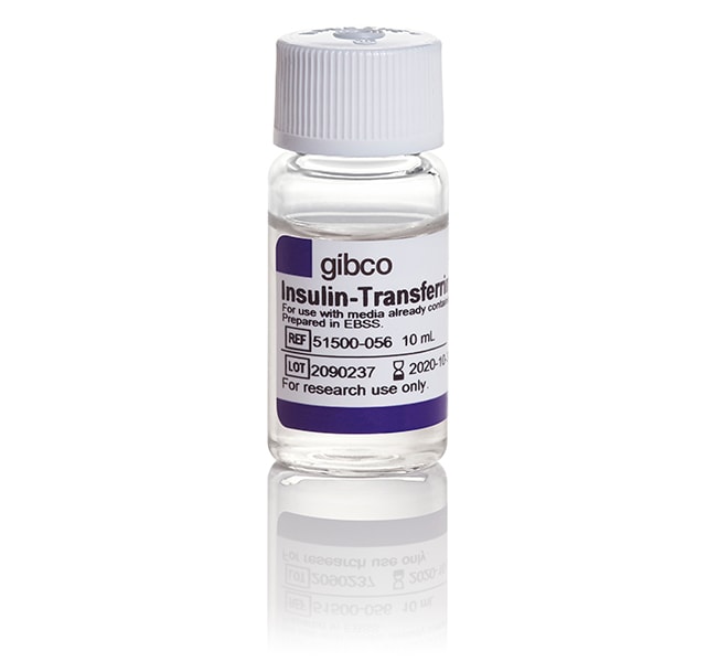 Thermo Fisher Scientific Insulin-Transferrin-Selenium-Ethanolamine (ITS -X) (100X)