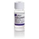 Thermo Fisher Scientific Insulin-Transferrin-Selenium-Ethanolamine (ITS -X) (100X)
