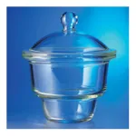 Thermo Fisher Scientific PYREX 24/29 Standard Taper Stopcock Vacuum-Rated Glass Desiccators, Complete (Bowl and Cover)