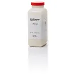 Thermo Fisher Scientific 2-YT Broth