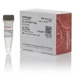Thermo Fisher Scientific dNTP Mix (10 mM ea), 100 μL