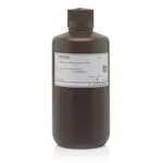 Thermo Fisher Scientific SYBR Safe DNA Gel Stain in 1X TAE, 1 L