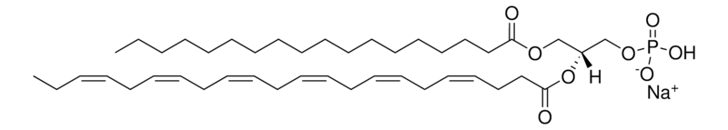 Merck 18:0-22:6 PA