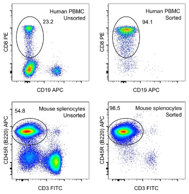 Thermo Fisher Scientific MagniSort Streptavidin Positive Selection Beads, 25 Tests