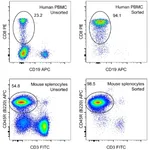 Thermo Fisher Scientific MagniSort Streptavidin Positive Selection Beads, 25 Tests