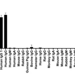 Thermo Fisher Scientific Goat anti-Human IgG1 (Heavy chain) Recombinant Secondary Antibody
