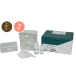 APBIO APmag™ Seed RNA / Seed RNA IT