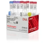 Thermo Fisher Scientific Zero Blunt TOPO PCR Cloning Kit for Sequencing, without competent cells, 25 Reactions