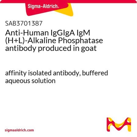 Merck Anti-Human IgGIgA IgM (H+L)-Alkaline Phosphatase antibody produced in goat
