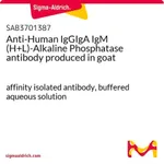 Merck Anti-Human IgGIgA IgM (H+L)-Alkaline Phosphatase antibody produced in goat
