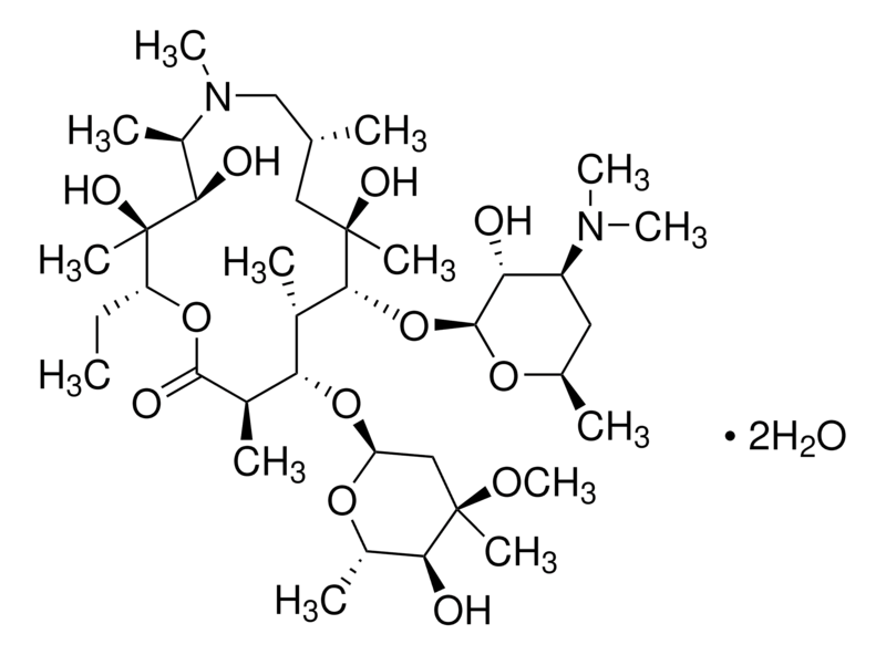 Merck Azithromycin