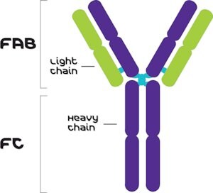 Merck MOUSE IGG2A ISOTYPE CONTROL