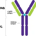 Merck MOUSE IGG2A ISOTYPE CONTROL