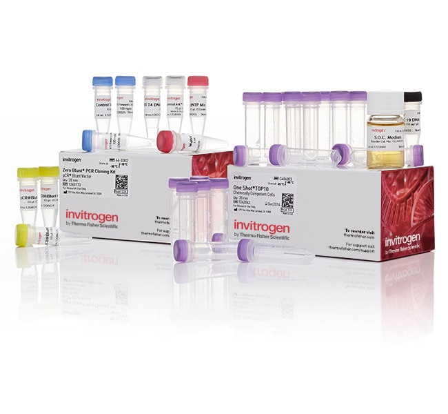 Thermo Fisher Scientific Zero Blunt PCR Cloning Kit, 20 Reactions