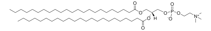Merck 23:0 PC
