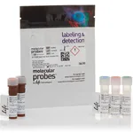 Thermo Fisher Scientific SYTOX Dead Cell Stain Sampler Kit, for flow cytometry