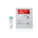 Thermo Fisher Scientific pHrodo Green STP Ester