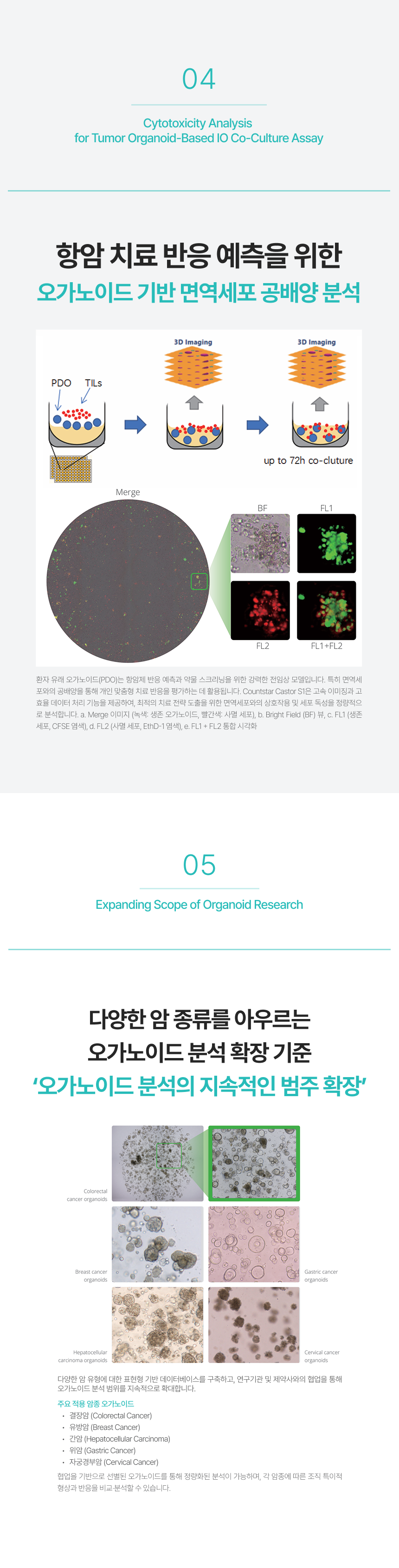 Countstar Castor S1_4.png