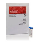 Thermo Fisher Scientific LIVE/DEAD Reduced Biohazard Cell Viability Kit #1, green & red fluorescence