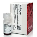 Thermo Fisher Scientific Exosome Immunoprecipitation Reagent (Protein G)