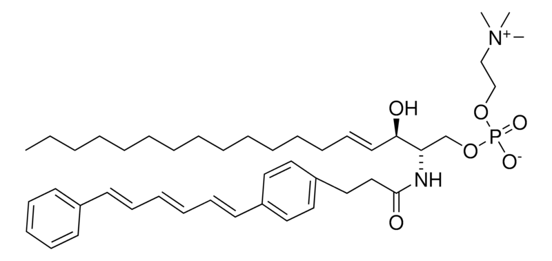 Merck DPH Sphingomyelin
