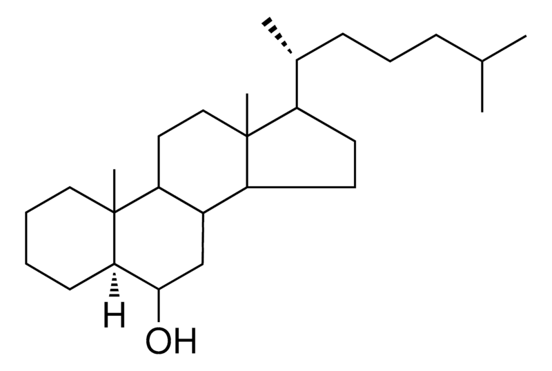 Merck 5-ALPHA-CHOLESTAN-6-BETA-OL - 1 MG