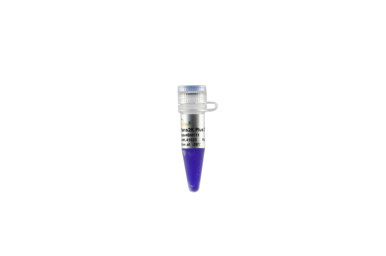 Trans2K® Plus DNA Marker