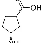 Merck (+)-(1s,3r)-3-aminocyclopentanecarboxylic acid