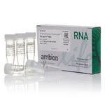 Thermo Fisher Scientific UltraPure BSA (50 mg/mL), 1 x 50 mg