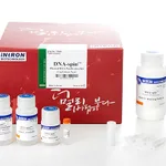 Intron DNA-spin™ Plasmid DNA Purification Kit