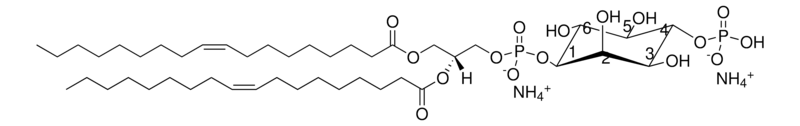Merck 18:1 PI(4)P