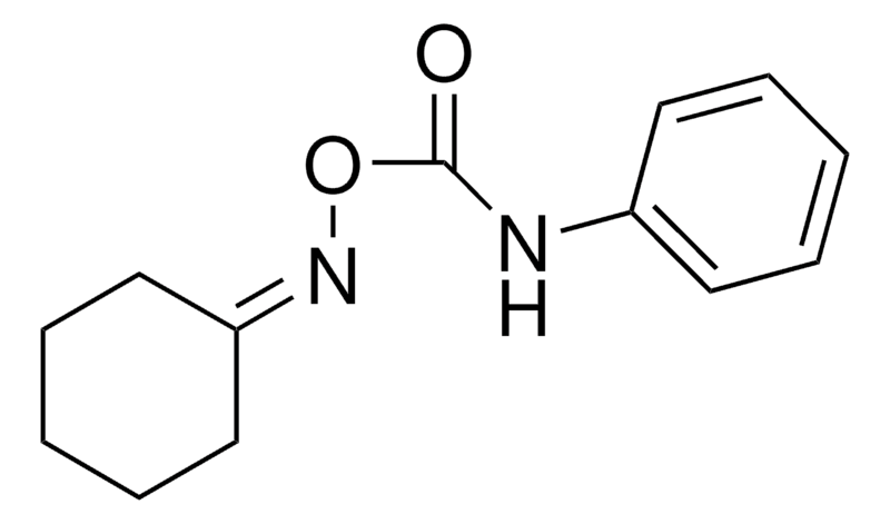 Merck O-(N-PHENYLCARBAMOYL)CYCLOHEXAN-