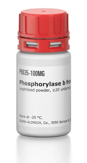 Merck PHOSPHORYLASE-B FROM RABBIT MUSCLE
