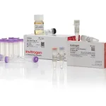 Thermo Fisher Scientific GeneArt Gibson Assembly EX Cloning Kit, chemically competent cells